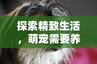 无限命运之弦攻略：详解攻略策略与角色拓展，提升胜利机率的全面实战指南