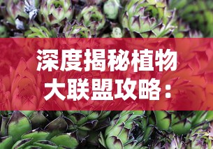 (斩龙传奇激活码怎么获得)斩龙传奇激活码，开启奇幻冒险之旅