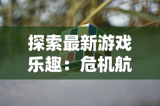 (黄金甲之谜最新攻略)深入解析黄金甲之谜2攻略4978，揭秘游戏奥秘与攻略技巧