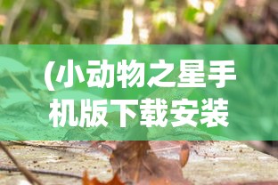 (小动物之星手机版下载安装苹果)小动物之星iOS版上线，呆萌动物萌宠陪伴你度过每一段旅程