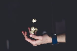 (三国志对于诸葛亮的描绘)三国志中诸葛亮评价的多元化分析