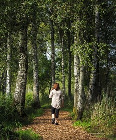 (活在乡村爱情里的人)乡村爱情的温暖画卷，多元文化视角下的农村生活探讨