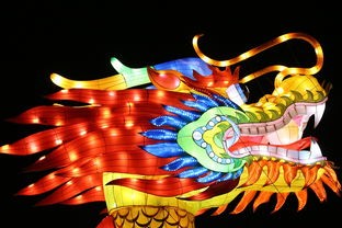 (魔界战记6全武器图鉴)魔界战记6，暗黑龙与光之剑——游戏世界解析与探讨