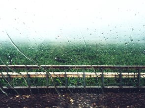 (死亡之雨下载)死亡之雨，手机游戏的启示与反思